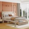 Full Size Storage Bed Velvet Upholstered Platform Bed with a Big Drawer